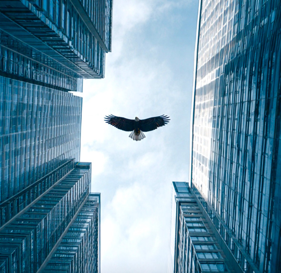 The land of the free doesn’t understand&nbsp;sovereignty